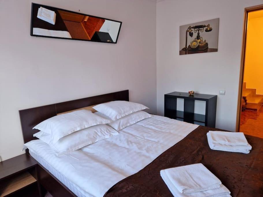 Casa Camely Holiday home Busteni