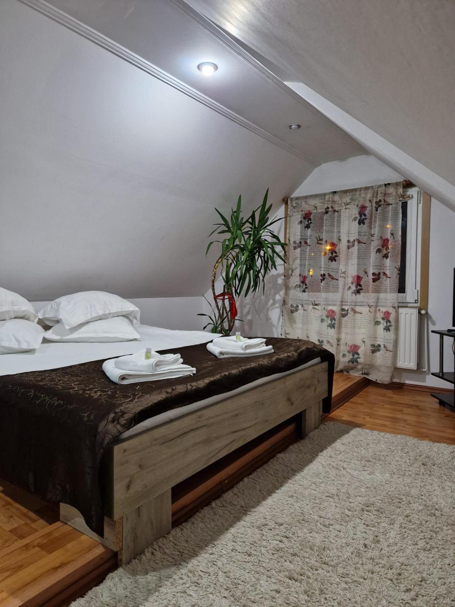 Casa Camely Holiday home Busteni